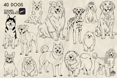Dogs Procreate Stamps Product Image 4