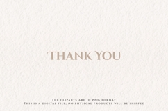 40 Watercolor Flower Bundle Decorative Ornament Clipart PNG Product Image 4