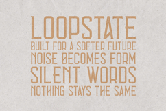 Errorist Textured Vintage Serif Display Font Product Image 4