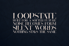 Huova Elegant Modern Serif Font Product Image 4