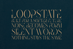 Future Flow Line Edition Elegant Inline Serif Font Product Image 4