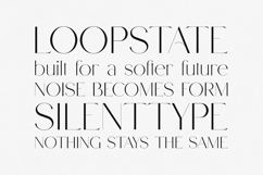 Rabble Elegant Editorial Display Serif Product Image 4