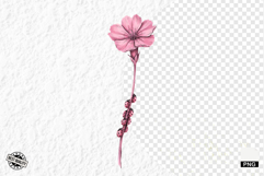 Summer Wildflowers &amp; Lady Bugs Clipart Product Image 1