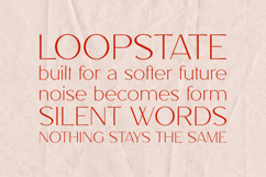 Beret Modern Editorial Serif Font Product Image 4