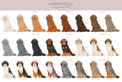Labradoodle clipart Product Image 3