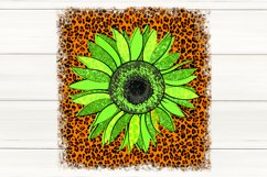 Sunflower with leopard petal| Sublimation Design bundle, PNG Product Image 4