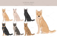 Korean Jindo clipart Product Image 2