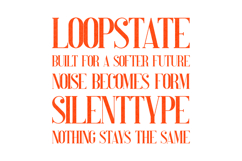 Perfectly Splendid Elegant Serif Font Product Image 4