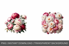 Peony clipart, floral collection PNG, watercolor flowers Product Image 4