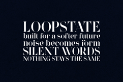 Wonderz Vintage Edition Elegant Serif Font Product Image 4