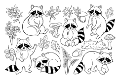 Hand-Drawn Raccoon Clipart PNG SVG Product Image 3