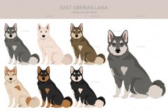 East-Siberian Laika clipart Product Image 4