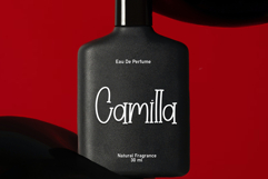 Blackstone Product Image 4