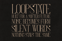 French Elegant Modern Serif Font Product Image 4