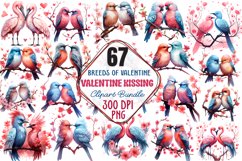 Breeds of Valentine Kissing Birds Bundle, Birds Clipart Product Image 2
