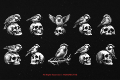 10 Bundle Dark Art Sparrow Bird Animal Wild Nature Wings Product Image 6