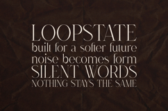 Dree Elegant Modern Serif Font Product Image 4