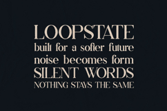 Akrasia Organic Serif Font Product Image 4