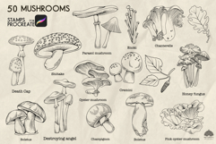 Mushrooms Procreate stamp brushes Product Image 4