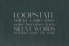 Rabble Delicate Elegant Serif Font Product Image 3