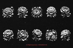 10 Bundle Dark Art Peony Flower Garden Floral Peonies Product Image 6