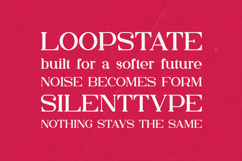 Kuchek Elegant Modern Serif Font Product Image 4