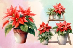 Christmas Houseplants Clipart Bundle, Christmas Bundle Product Image 5
