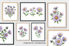 15 Bundle Watercolor Aster Flower Blossom Floral Bouquet Product Image 4