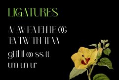 Bunmerang - Display Logo Product Image 4