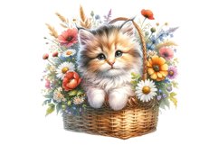 Cute Kitten Product Image 4