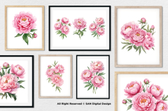 15 Bundle Watercolor Pink Peony Flower Blush Romantic Product Image 4
