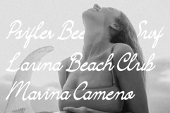 Camarali Script Font Product Image 4