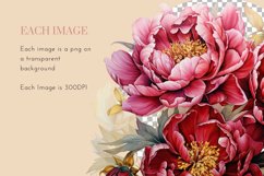 10 Burgundy and Gold Peonies Clipart PNG Product Image 4