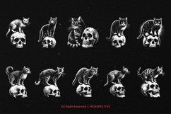 10 Bundle Dark Art Skull Cat Kitten Animal Pet Horror Scary Product Image 6