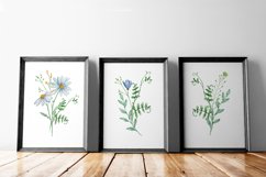Wildflowers Set of 3 Prints Wall Art Product Image 4