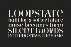 Wonderz Echo Luxury High-Contrast Serif Display Font Product Image 4