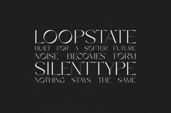 Metanoia Elegant Futuristic Serif Font Product Image 4