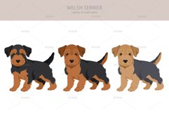 Welsh Terrier clipart Product Image 2