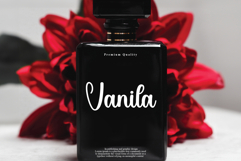 Witches Product Image 4