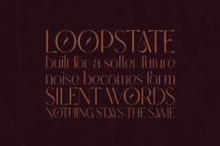 Modern Heritage Elegant Serif Font Family Product Image 4