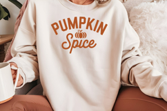 Pumpkin Spice Product Image 4