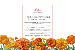 Watercolor Retro Vintage Marigold Cliparts Bundle Product Image 4