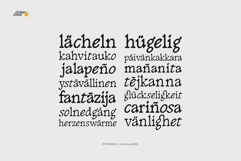 Golden Goose Italic Infused Serif Product Image 4