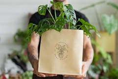 House Plants Line Art, Potted and Hanging Botanical Clipart Product Image 2