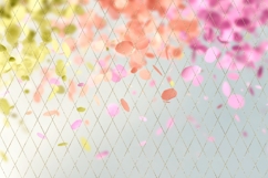 Confetti Backgrounds, Floral Background Designs Product Image 4