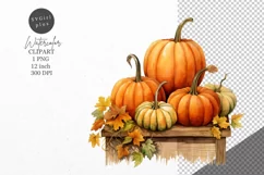 Thanksgiving clipart, Pumpkin clipart, Autumn clipart, Product Image 1