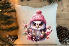 Christmas Owl Clipart, Christmas Owl Clipart, Christmas Owl Product Image 4