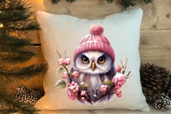 Christmas Owl Clipart, Christmas Owl Clipart, Christmas Owl Product Image 4