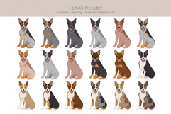 Texas Heeler dog Product Image 3