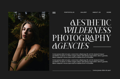 Avires - Stylish Ligature Serif Font Product Image 4